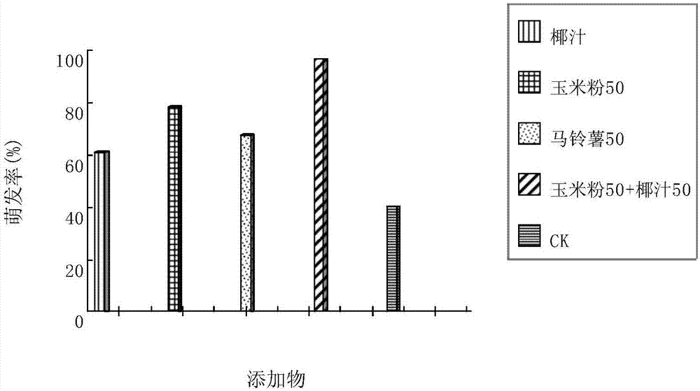 Tissue culture and rapid propagation method of micro tubers of rhizoma bletillae