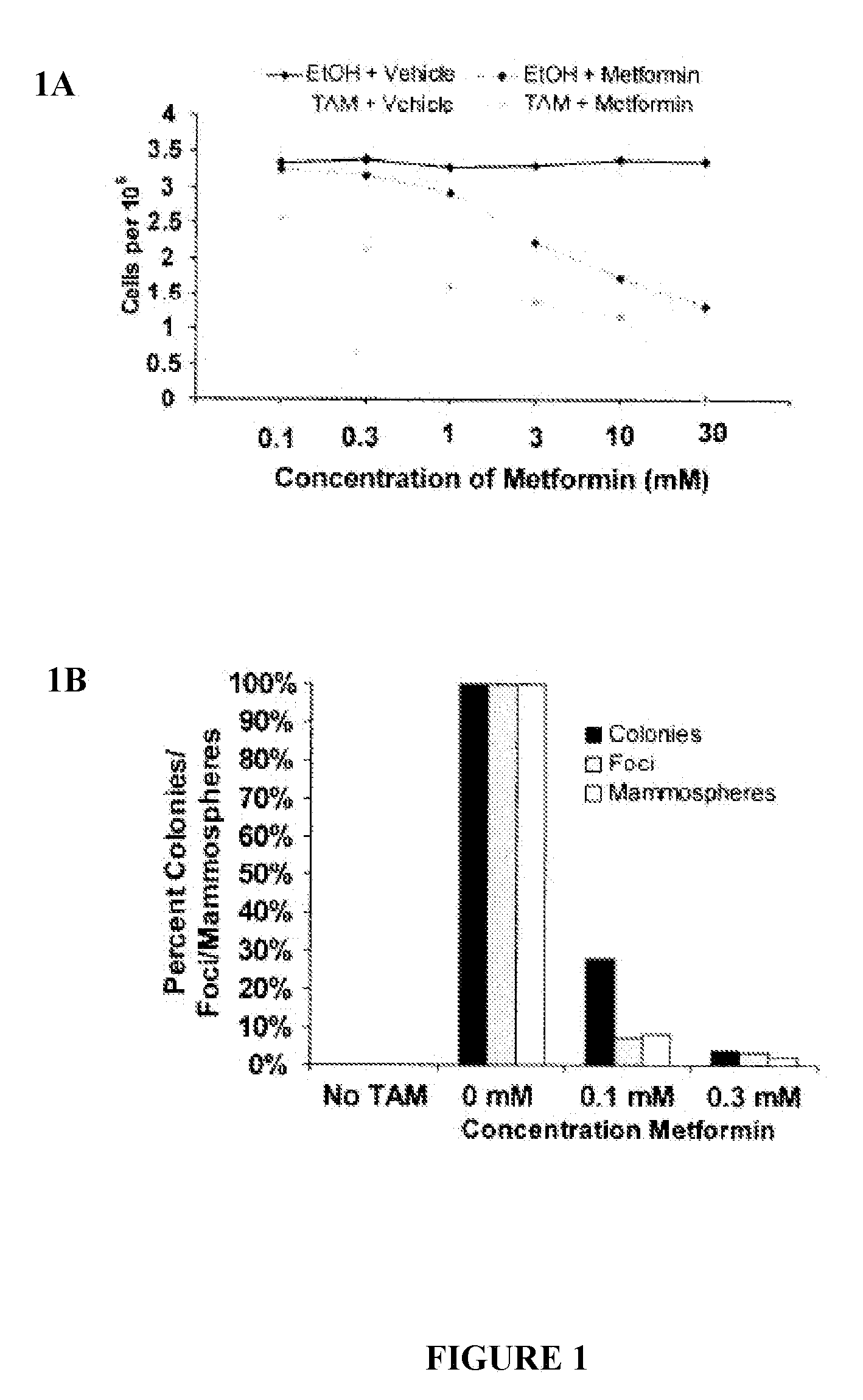 Use of metformin in cancer treatment and prevention