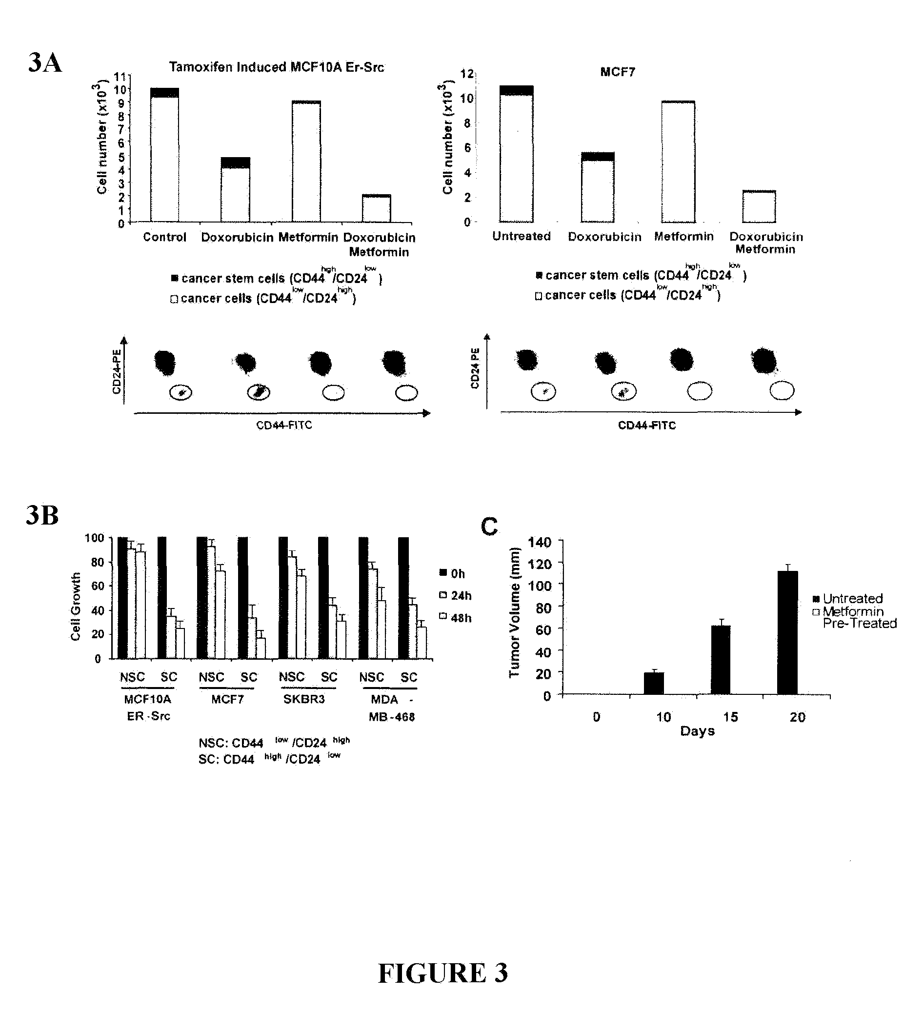 Use of metformin in cancer treatment and prevention