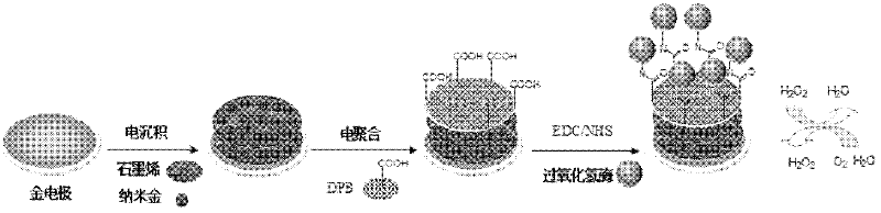 Method for preparing graphene biosensor