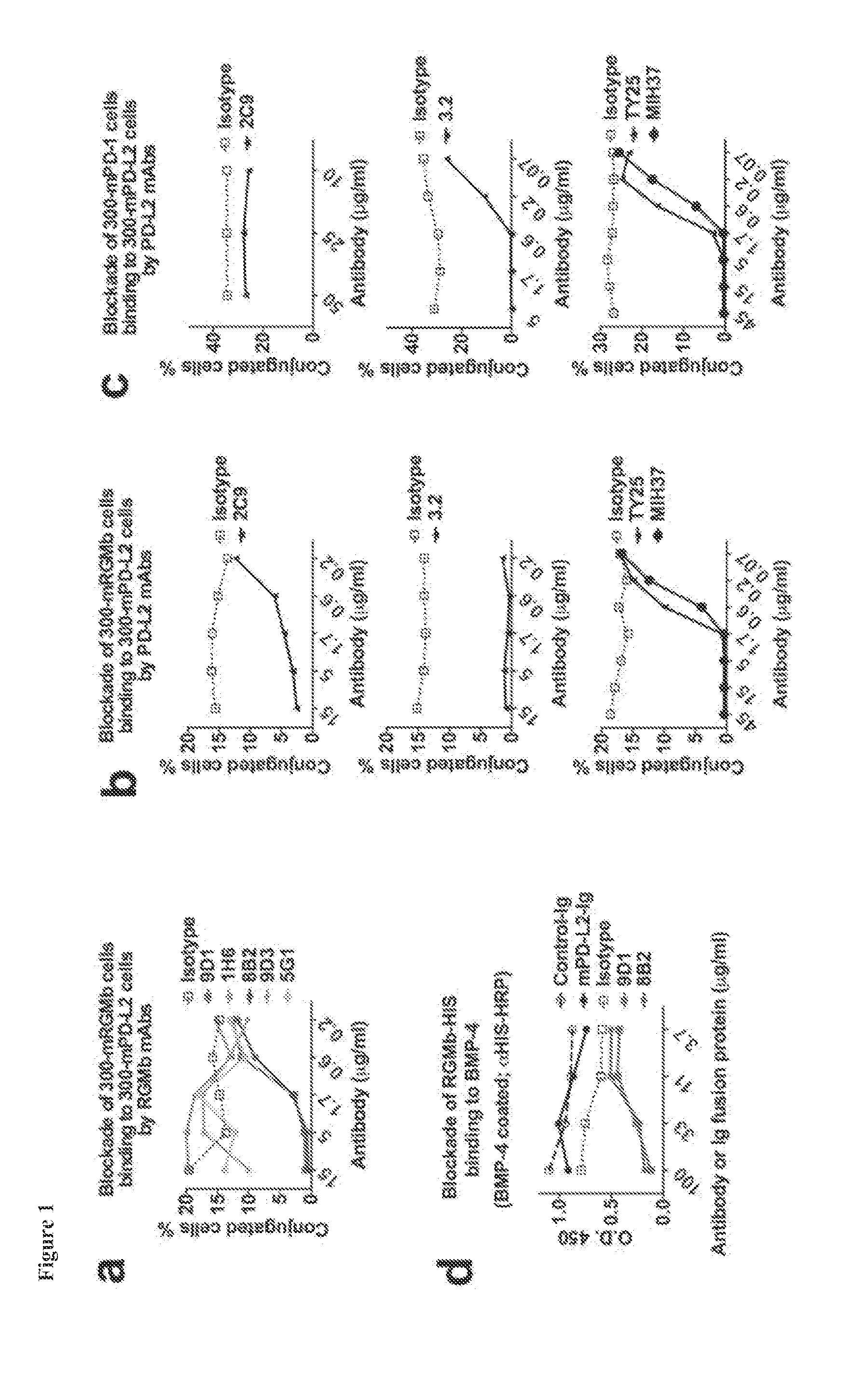 AGENTS THAT MODULATE RGMb-NEOGENIN-BMP SIGNALING AND METHODS OF USE THEREOF