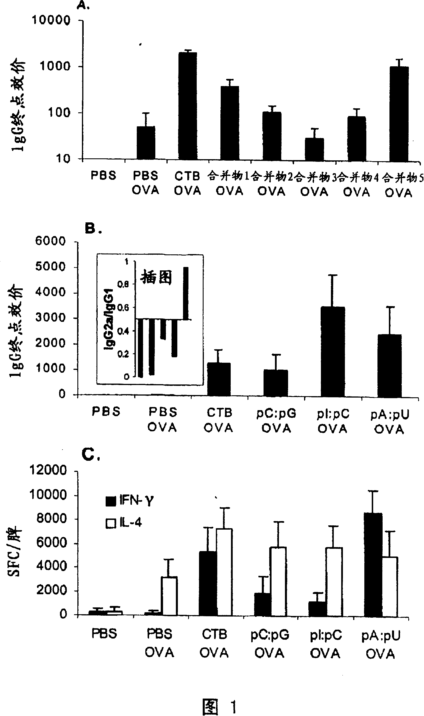 Double-chain RNA and method for initiate, enhance or adjust immunomodulatory of immune response