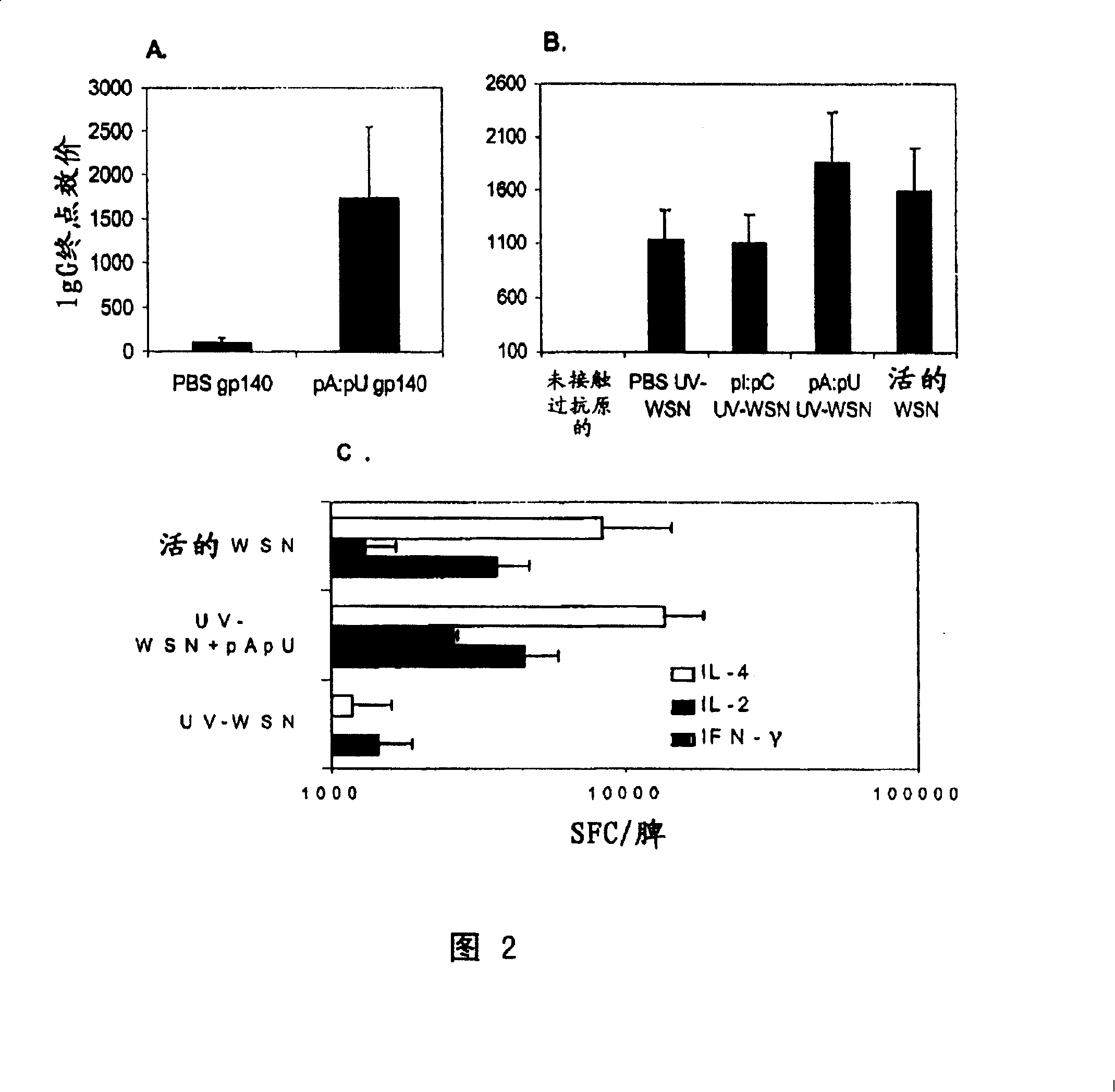 Double-chain RNA and method for initiate, enhance or adjust immunomodulatory of immune response