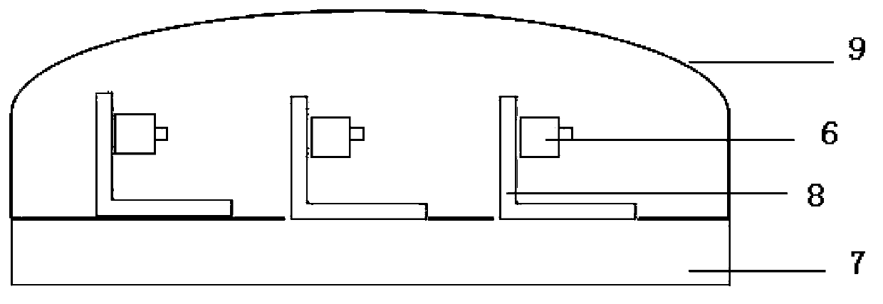 Laser device plant light and manufacturing method thereof