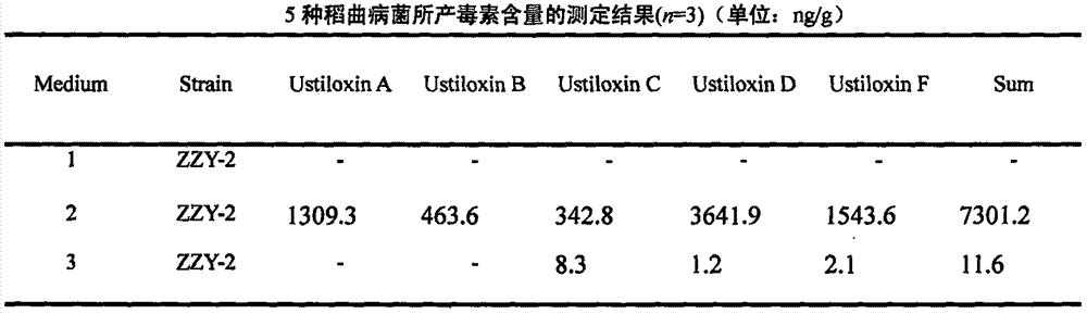 Ustilaginoidea virens (Cke.) Tak. producing five Ustiloxins and acquisition method thereof