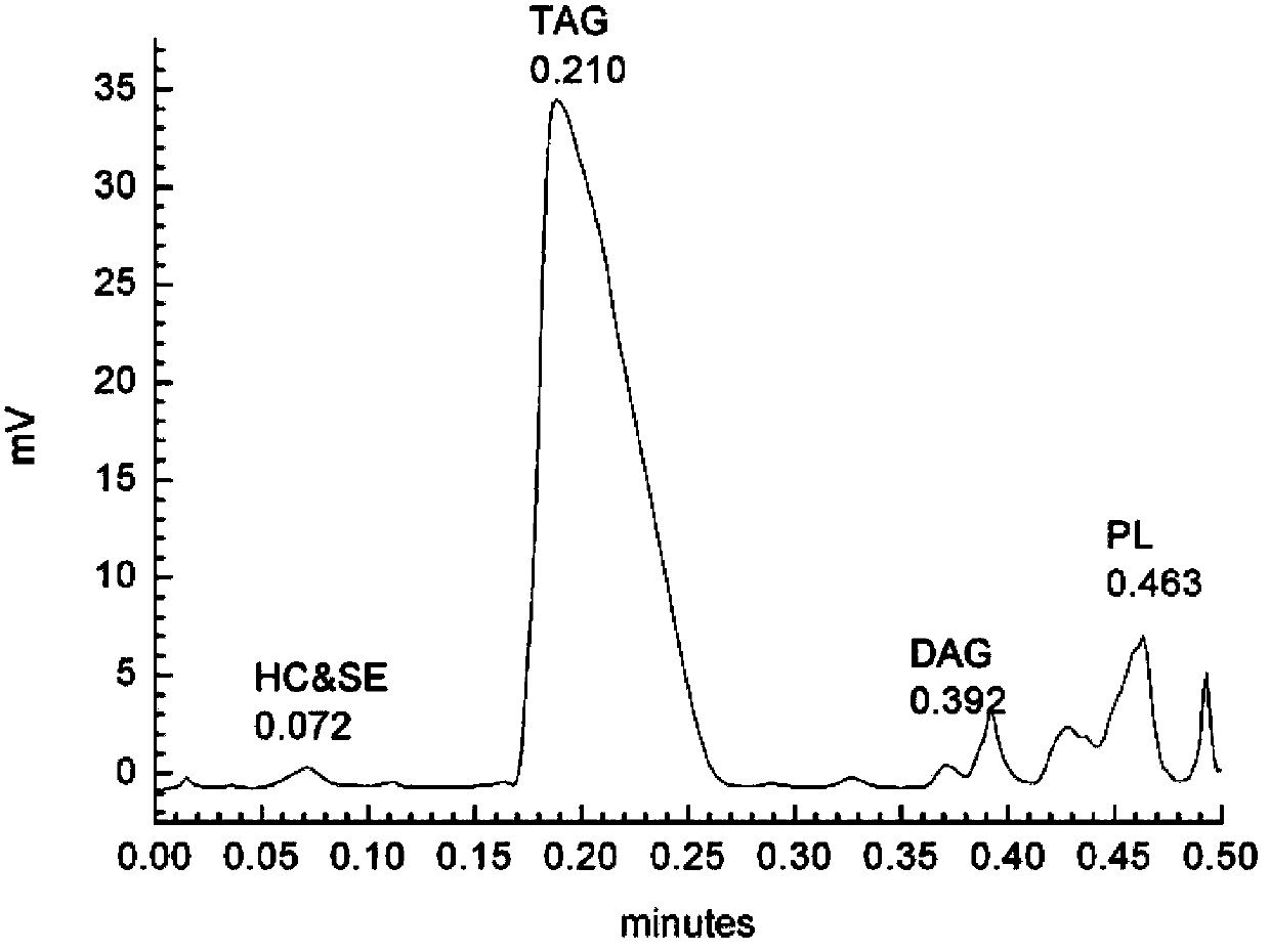 Method for preparing tribonema biological oil and tribonema biological oil prepared by method