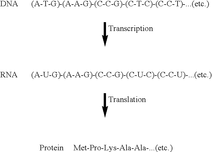 Compositions and methods for the transport of biologically active agents across cellular barriers