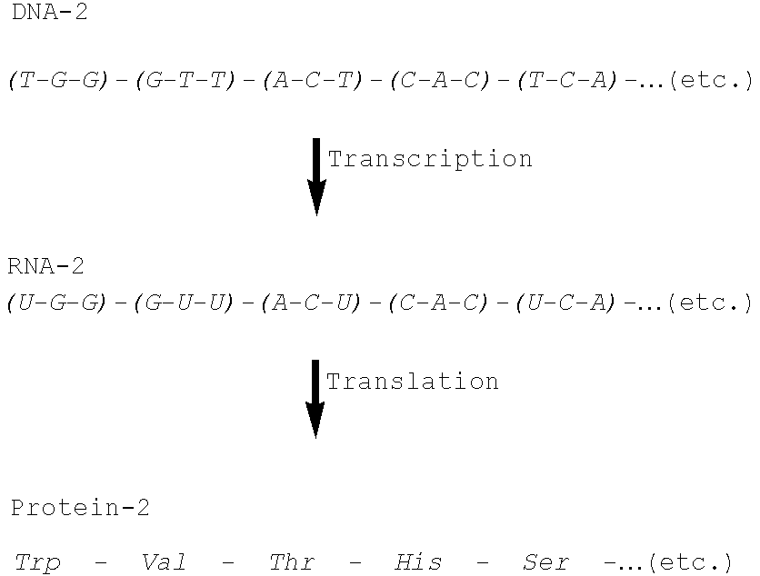 Compositions and methods for the transport of biologically active agents across cellular barriers