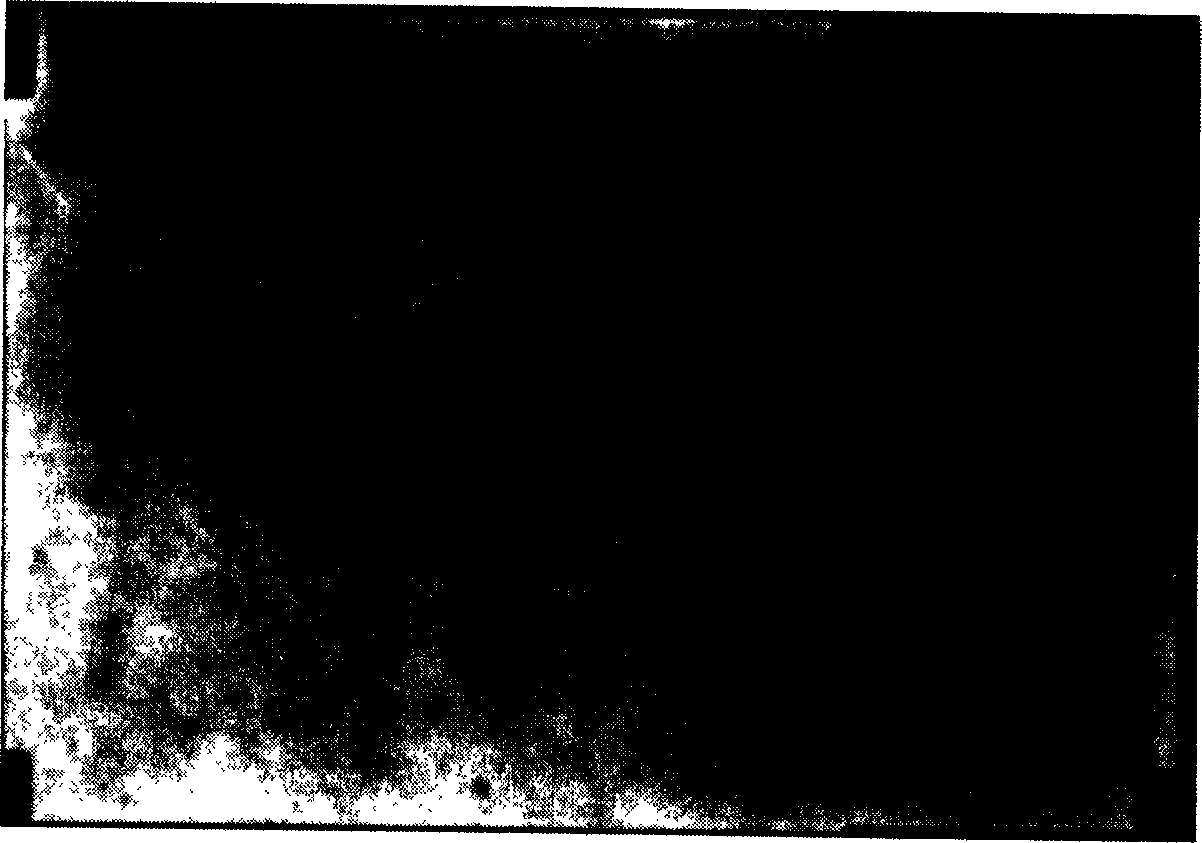 Self microemulsifying preparation of curcumin and its preparing process