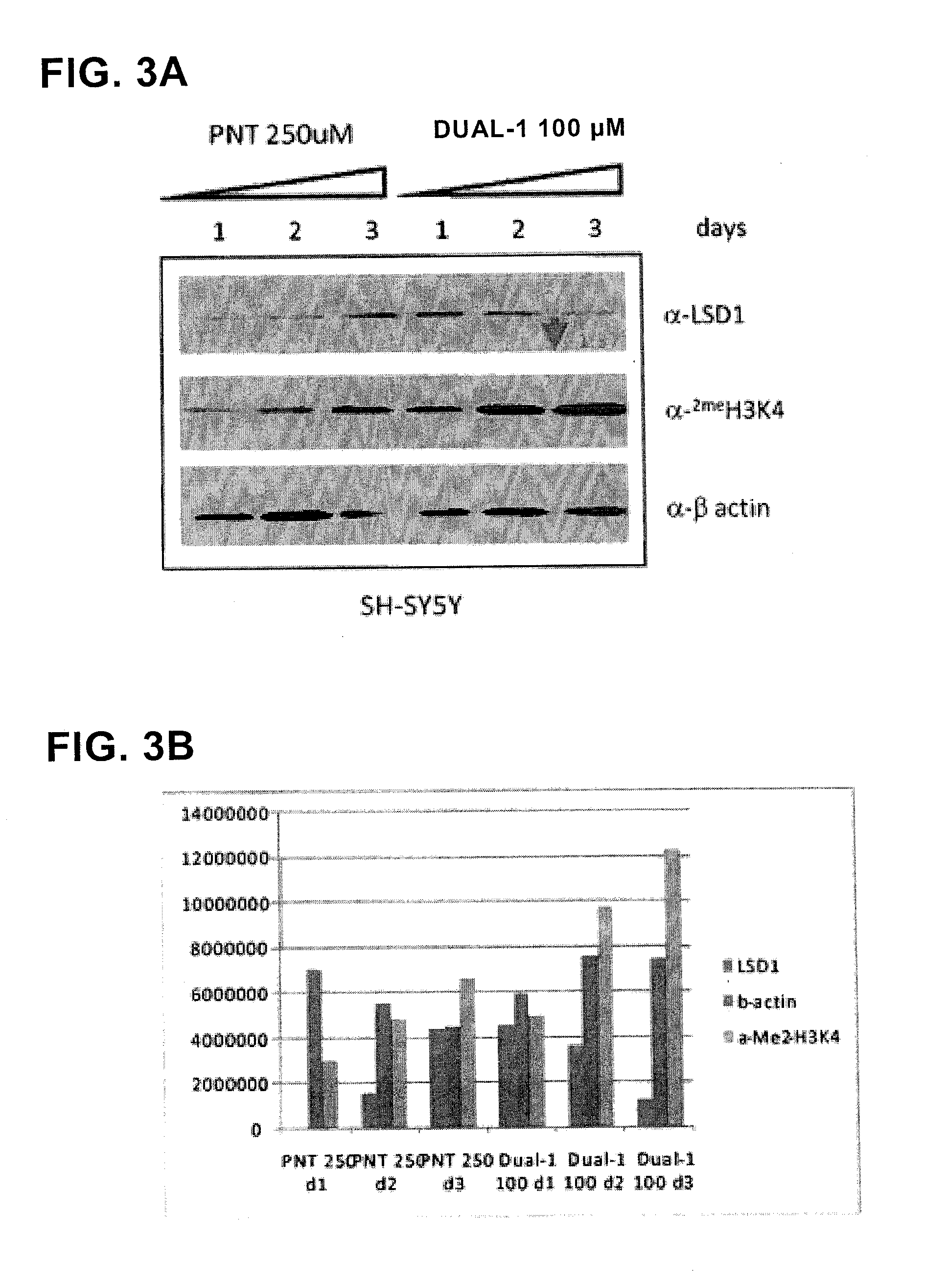 Lysine demethylase inhibitors for diseases and disorders associated with hepadnaviridae