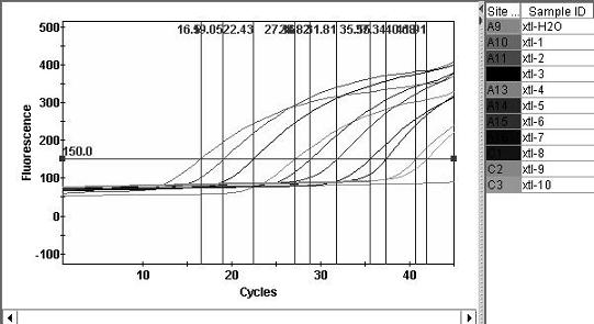 Primers and probe used for real-time fluorescent PCR assay of apricot chlorotic leafroll phtoplasma and method thereof