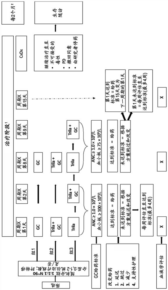 Patient selection to enhance anti-tumor immunity in cancer patients