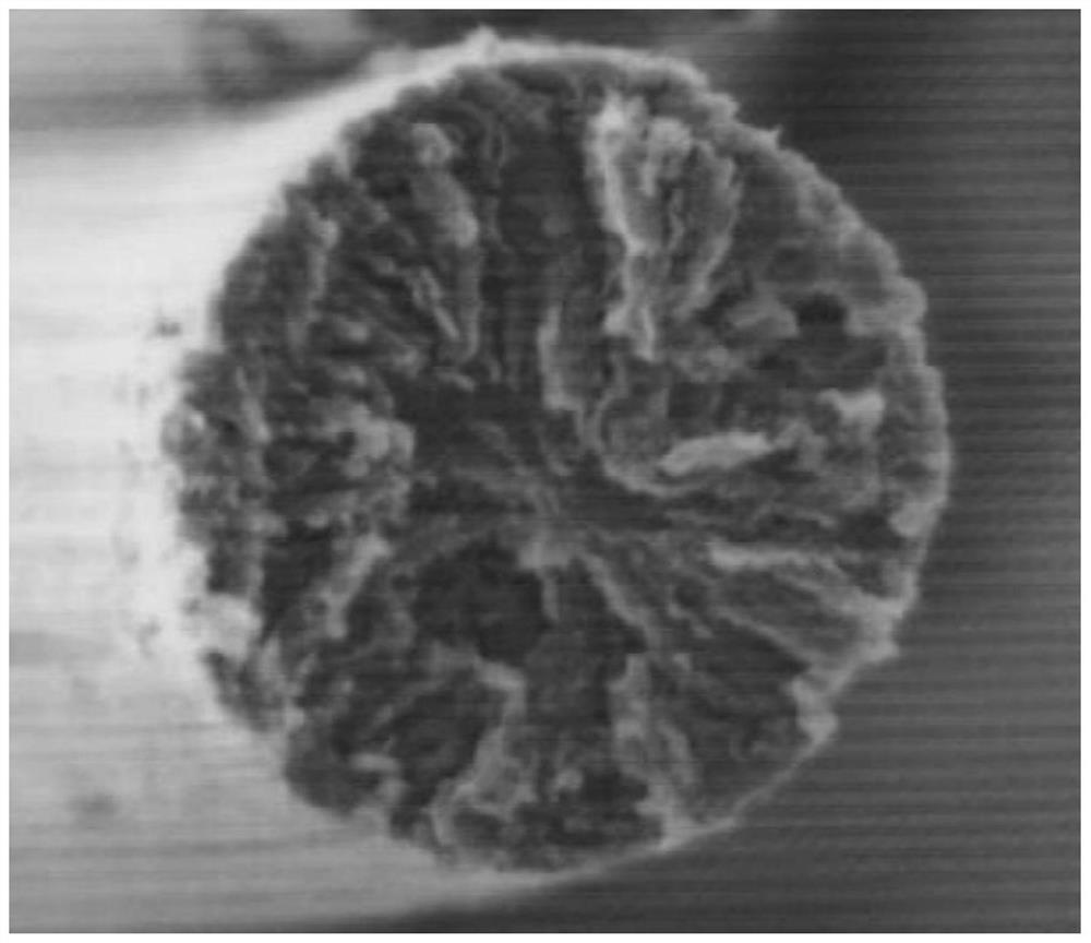 A kind of graphite fiber with laminated cross-section structure and its melt spinning method