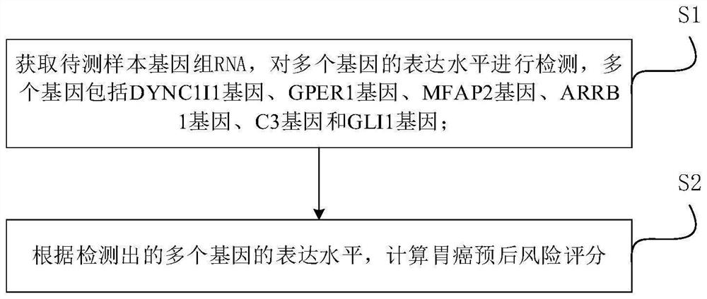 Gastric cancer metabolism gene prognosis prediction method and device