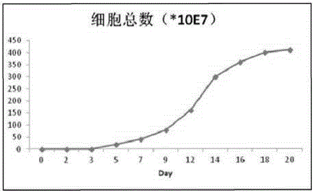 Culture system and culture method for efficient amplification in vitro of autologous NK cells