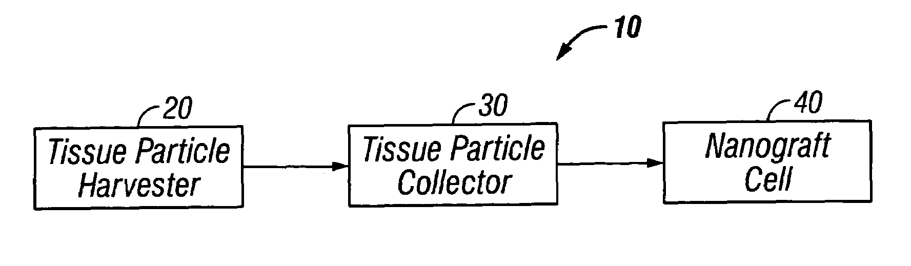 System and method for transplantation of dermal tissue