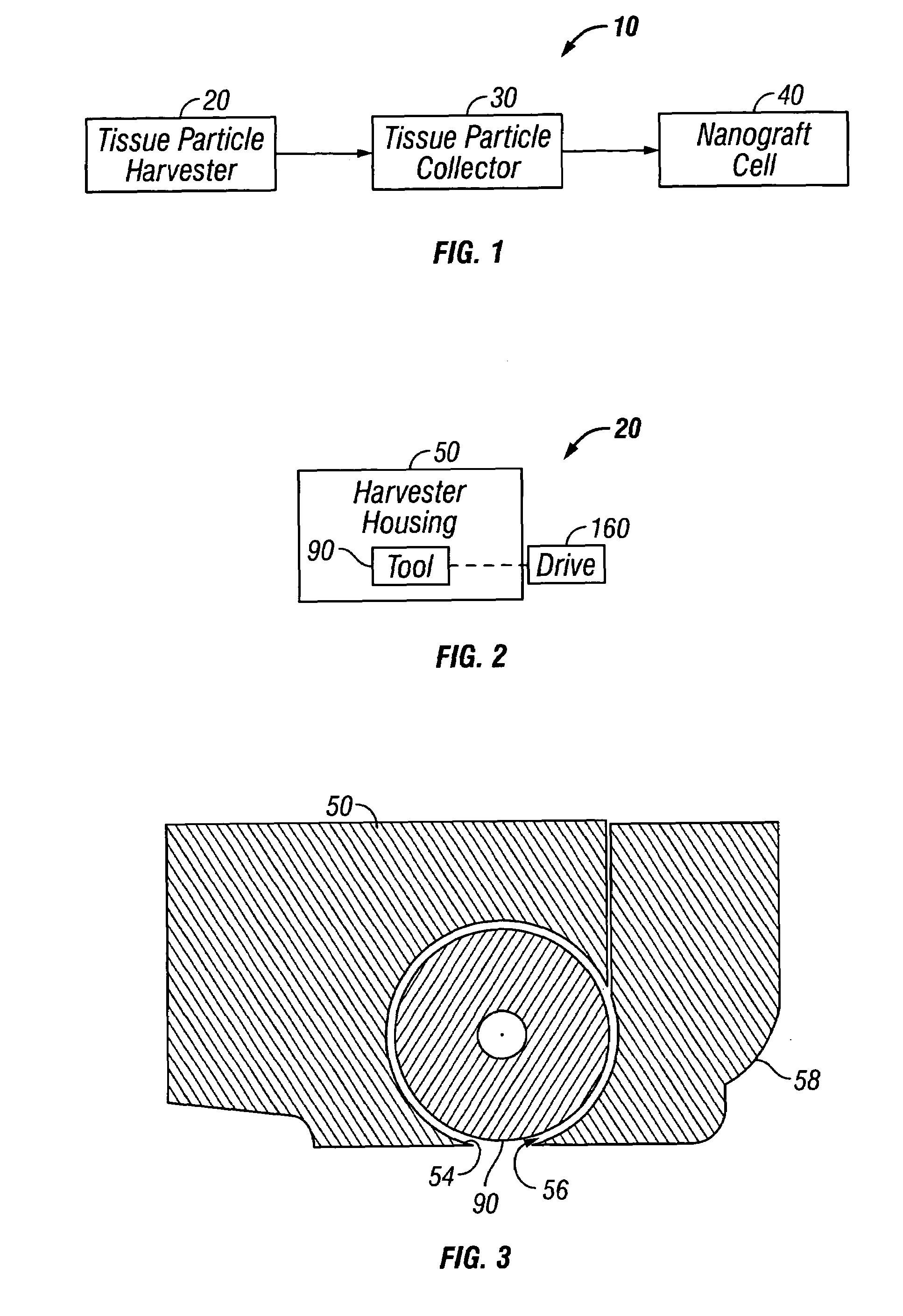 System and method for transplantation of dermal tissue