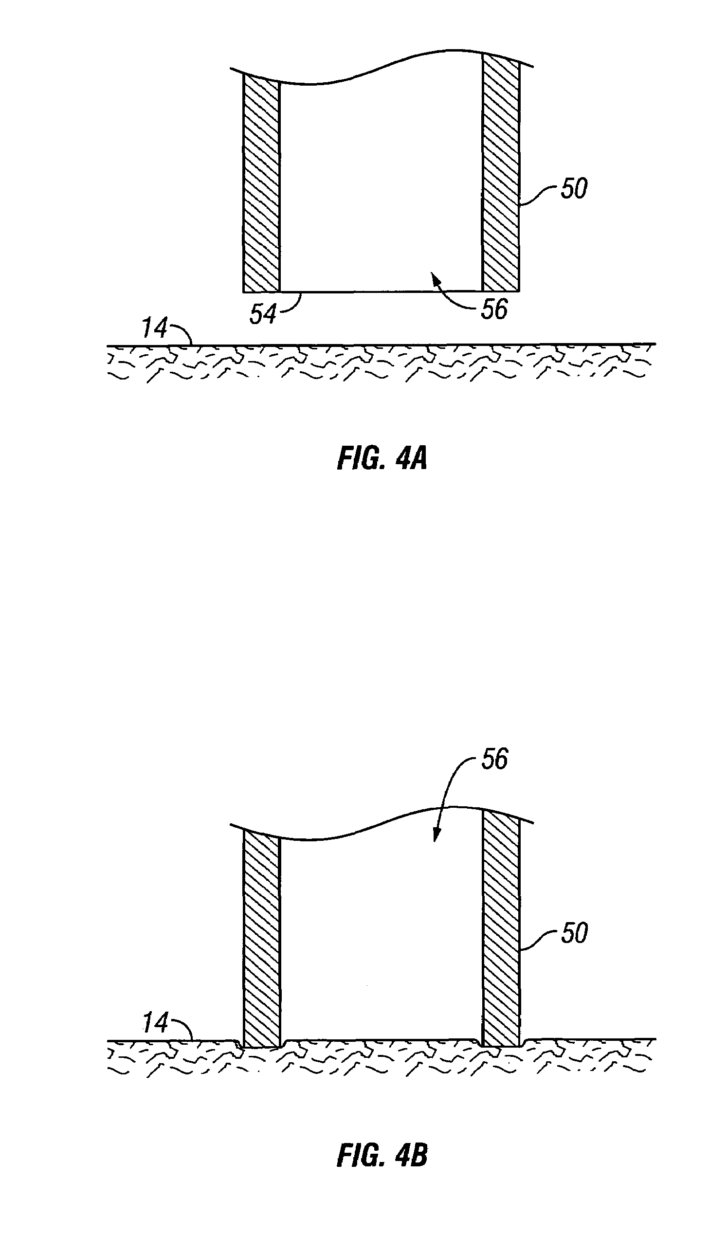 System and method for transplantation of dermal tissue