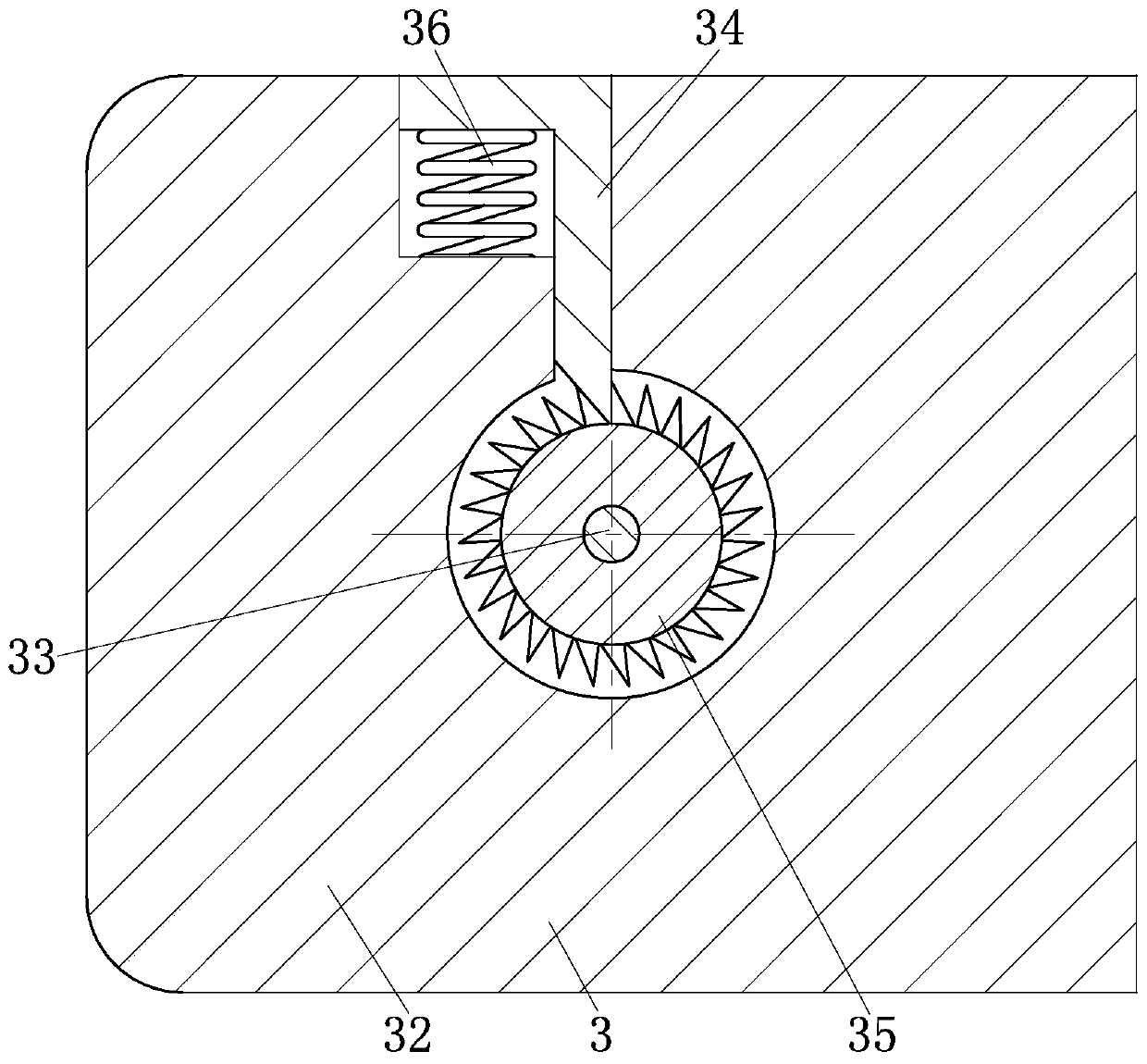 Hair follicle stem cell culture injection device and use method