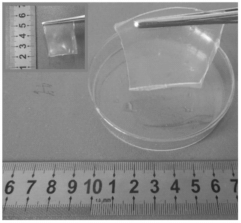 Stretchable flexible supercapacitor and preparation method thereof