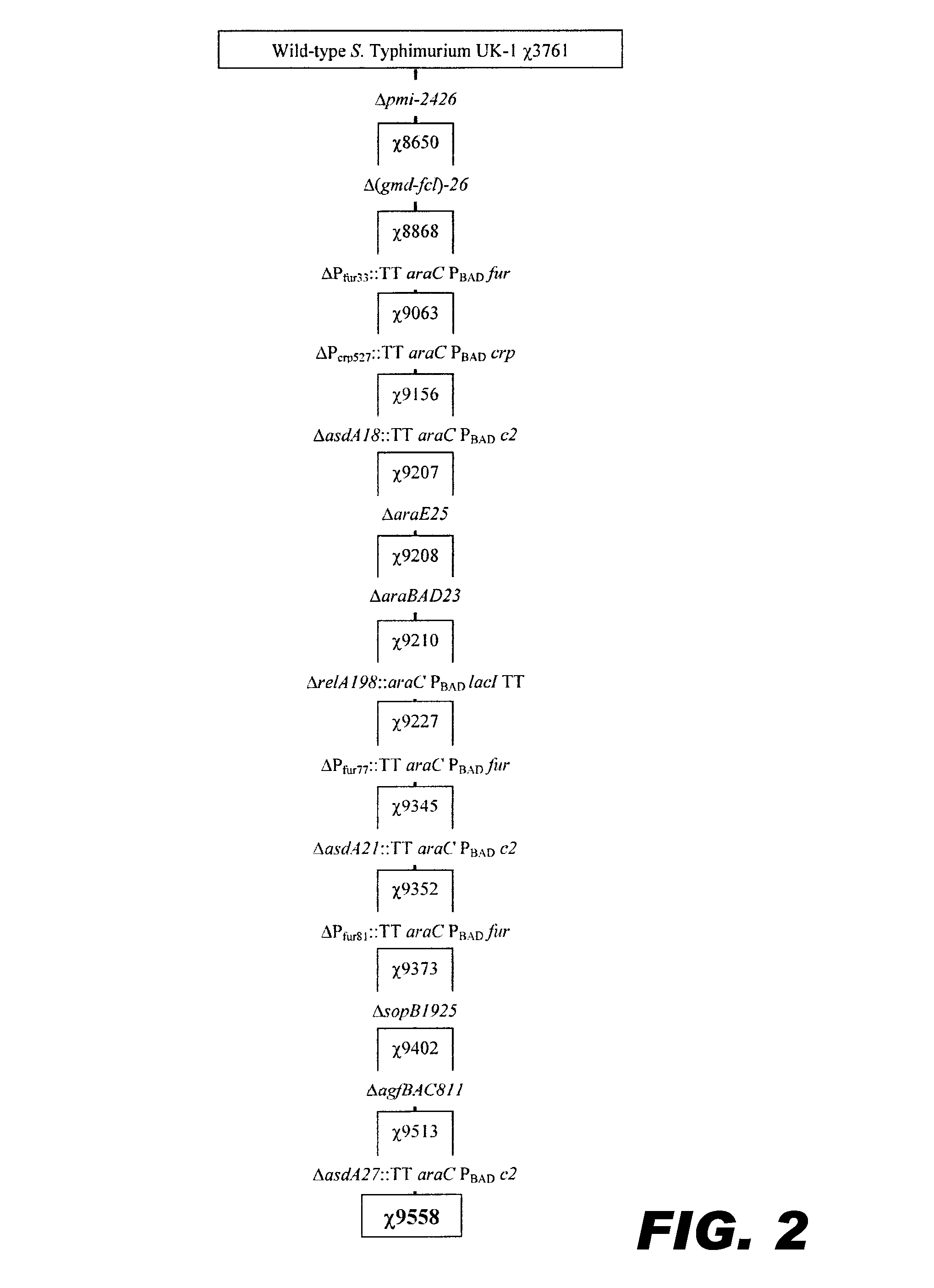 Recombinant bacterium capable of eliciting an immune response against  <i>Streptococcus pneumoniae</i>