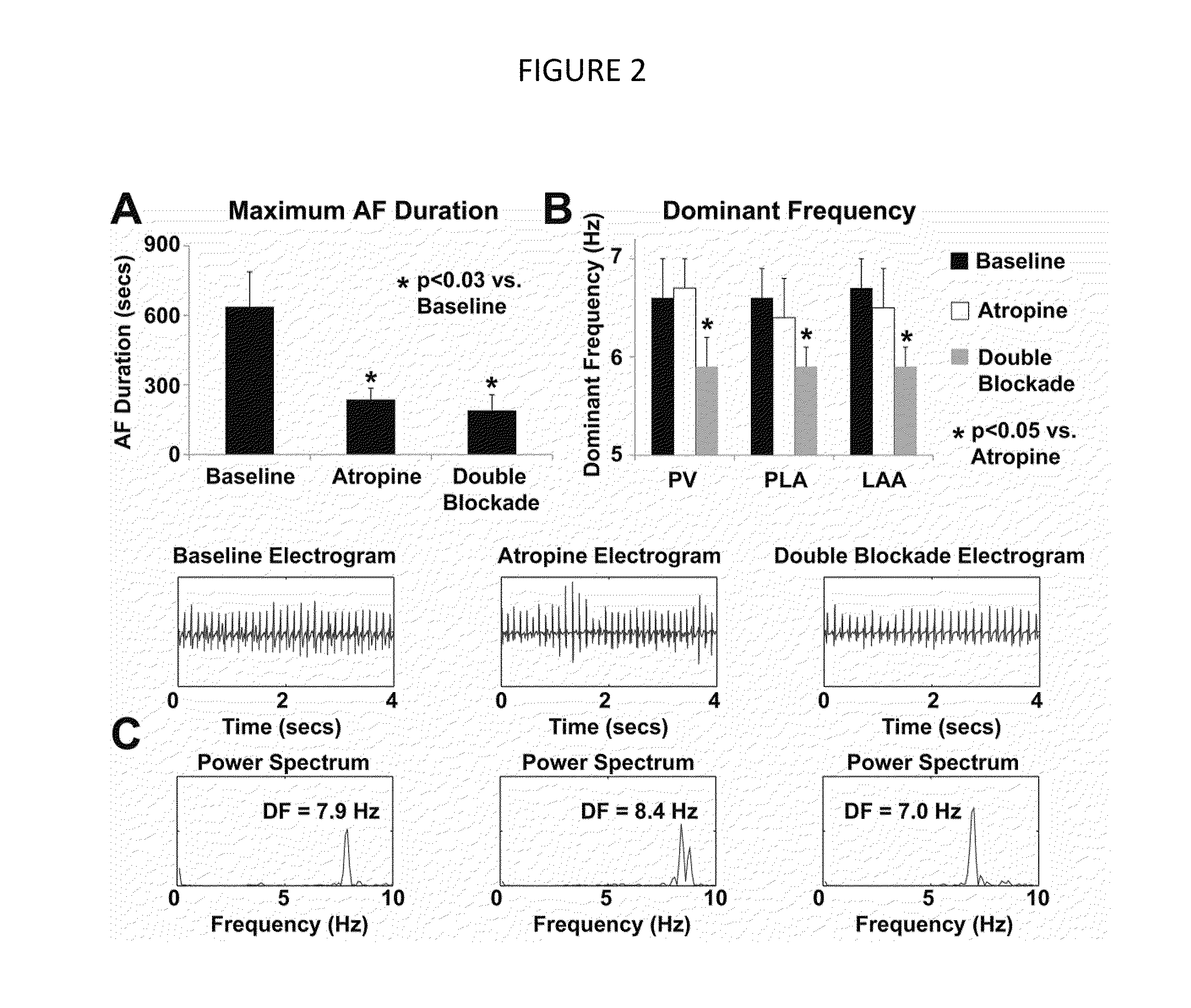 Compositions and methods for treating or preventing atrial fibrillation