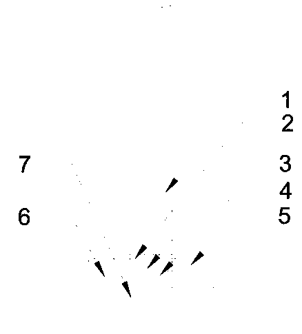 Brazing powder for ultrasonic assisted brazing and brazing method