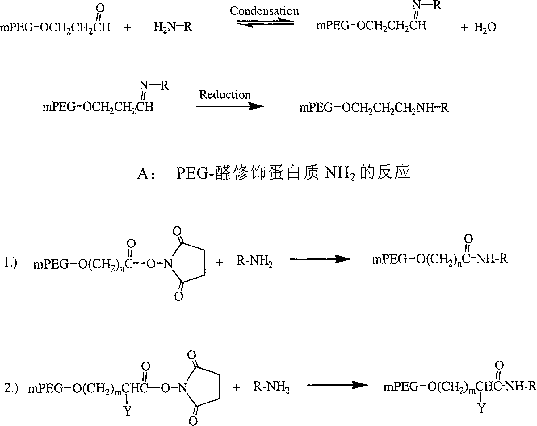 Polyethylene decorative nevin fibrinolytic enzyme and its preparation method