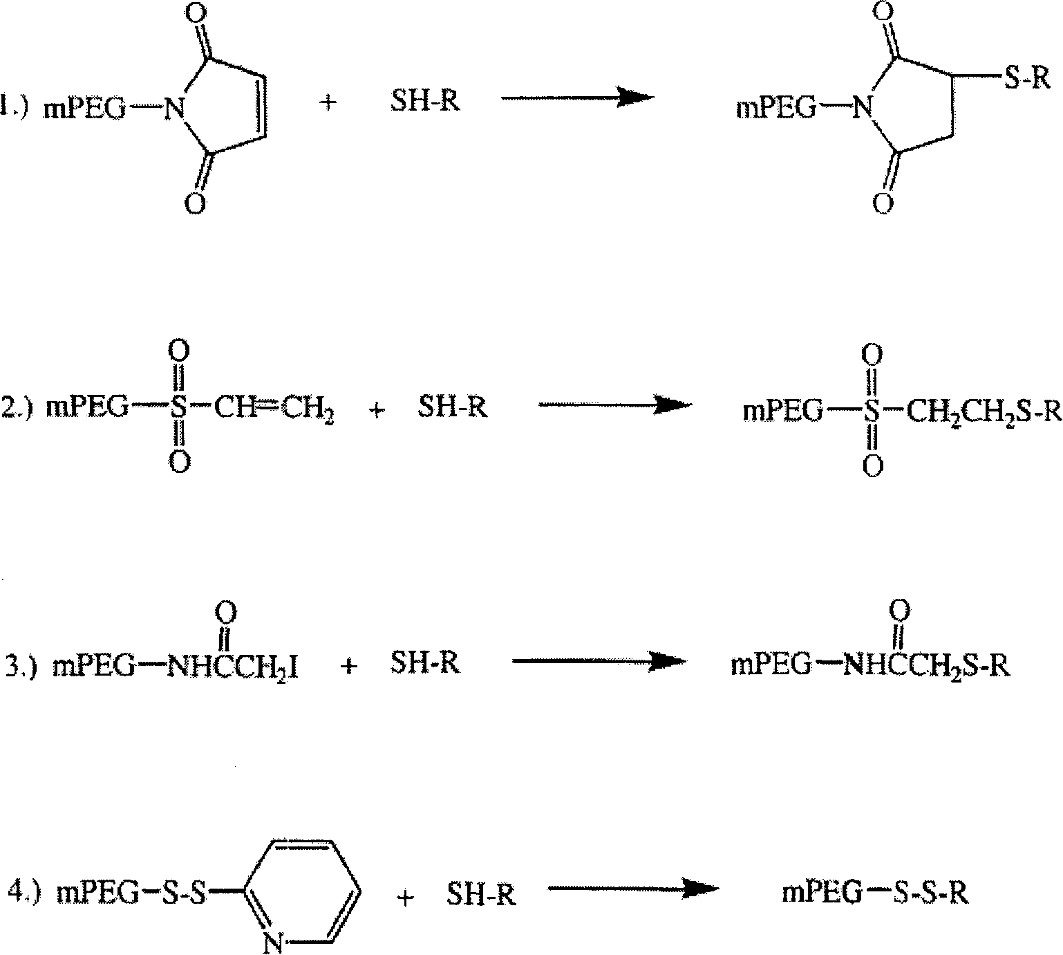 Polyethylene decorative nevin fibrinolytic enzyme and its preparation method