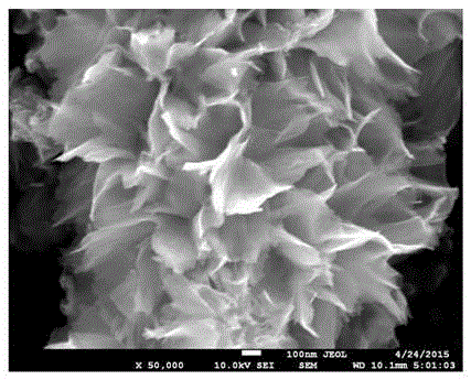 Preparation method of carbon and nitrogen doped niobium (V) pentoxide nano sheet and application of nano sheet as photocatalyst