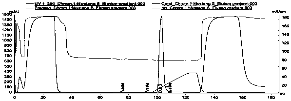 Method for purifying antibody through cation exchange chromatography