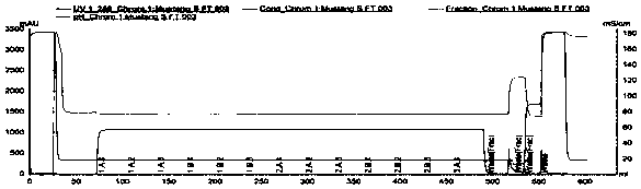 Method for purifying antibody through cation exchange chromatography