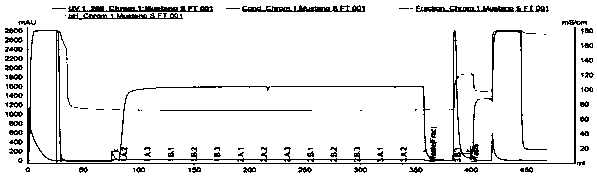 Method for purifying antibody through cation exchange chromatography