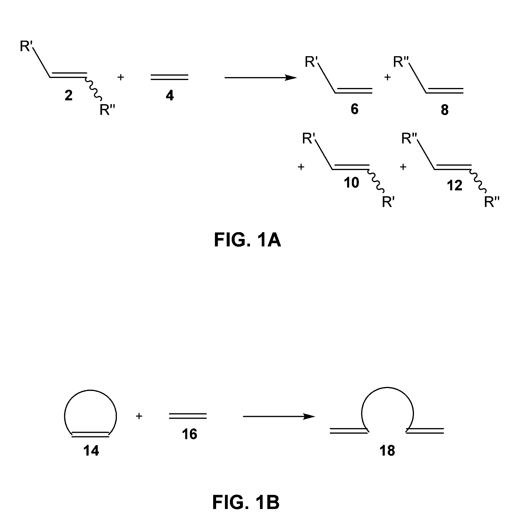 Catalysts and processes for the formation of terminal olefins by ethenolysis