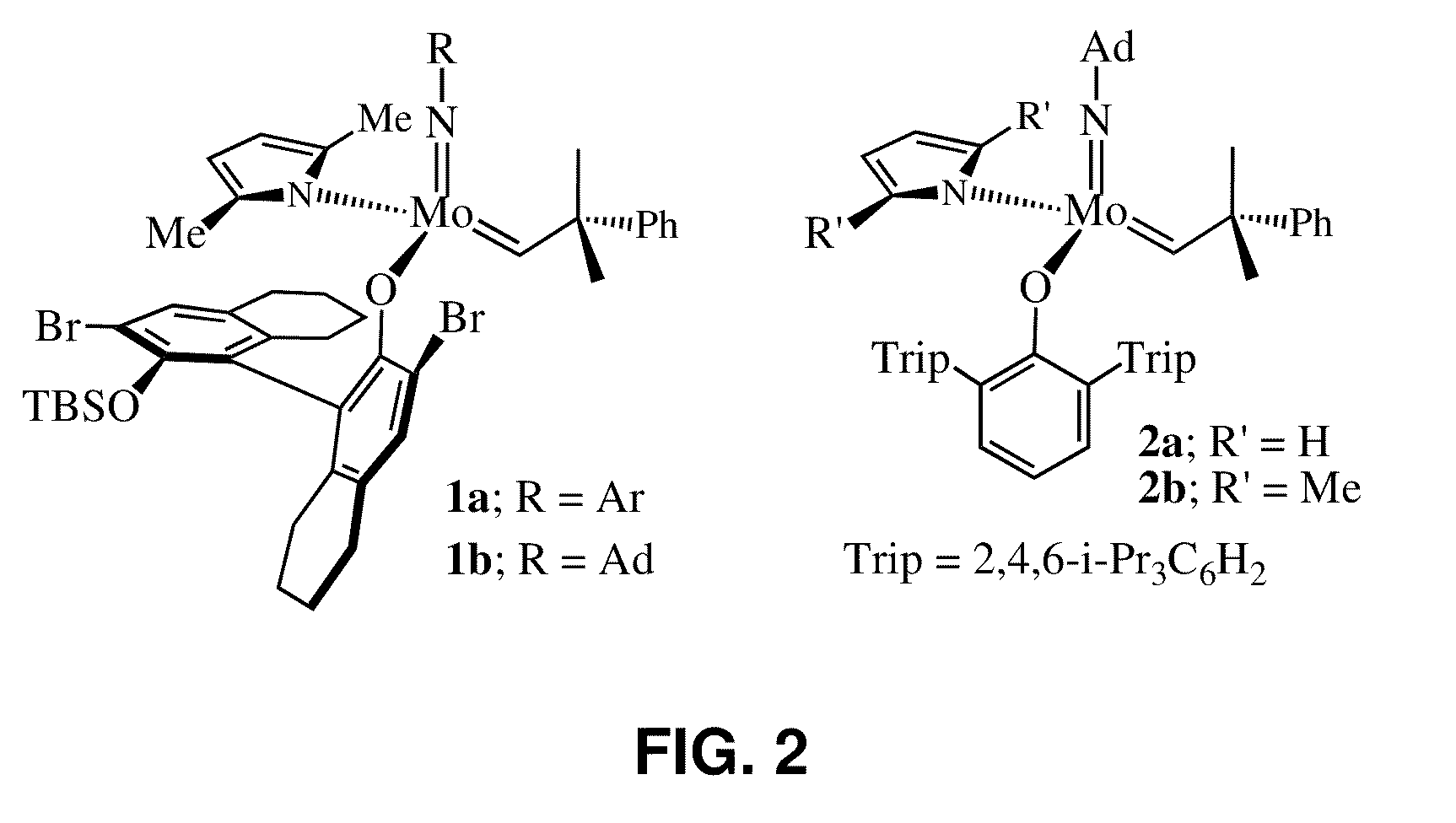 Catalysts and processes for the formation of terminal olefins by ethenolysis