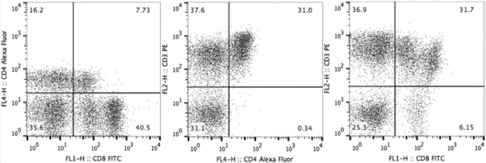 Method for assaying T-lymphocyte subpopulations of swine peripheral blood by flow cytometry