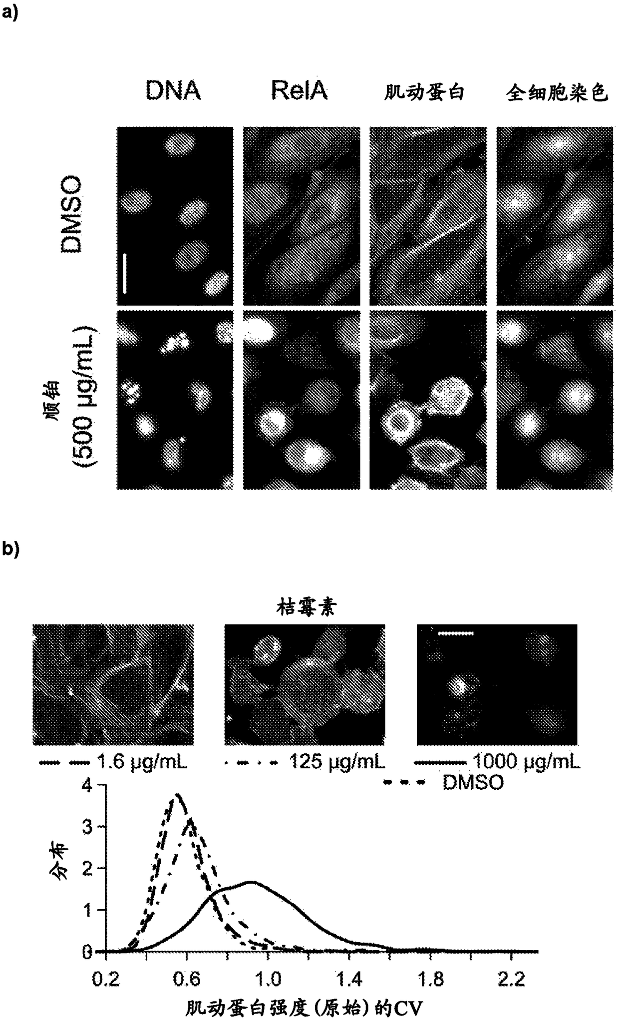 High-throughput imaging-based methods for predicting cell-type-specific toxicity of xenobiotics with diverse chemical structures