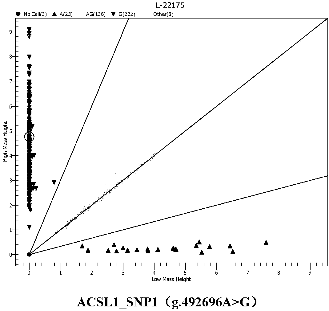 Haplotype combination relevant to Mediterranean buffalo good milk secretion property and application