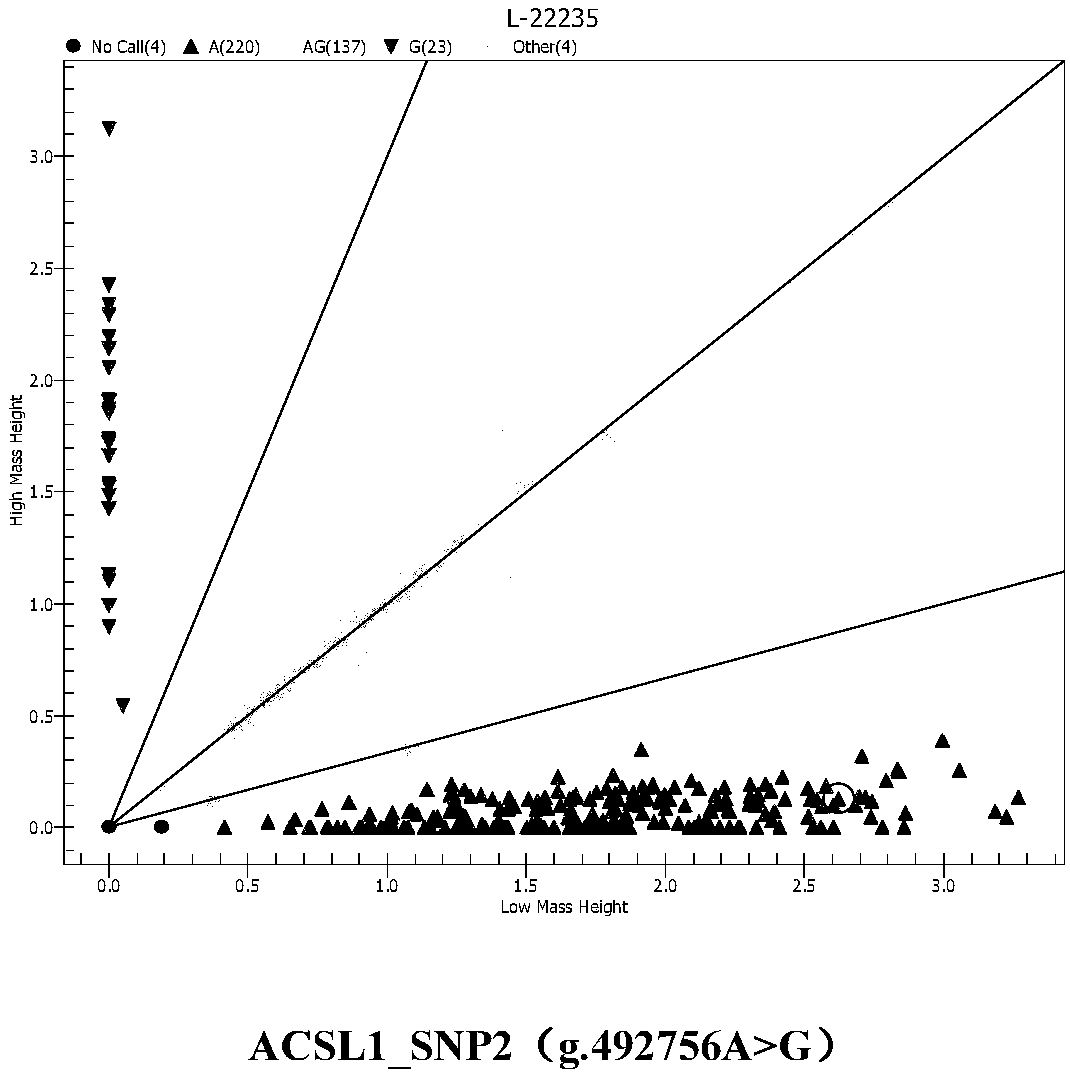 Haplotype combination relevant to Mediterranean buffalo good milk secretion property and application