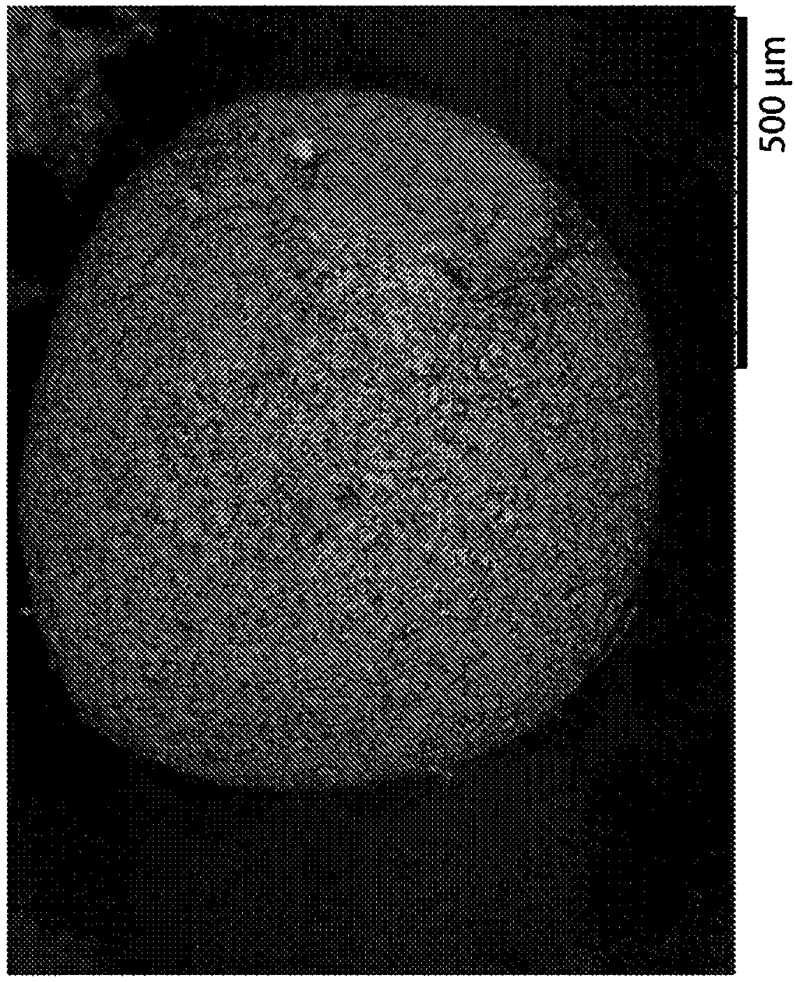 Formulations of L-ornithine phenylacetate