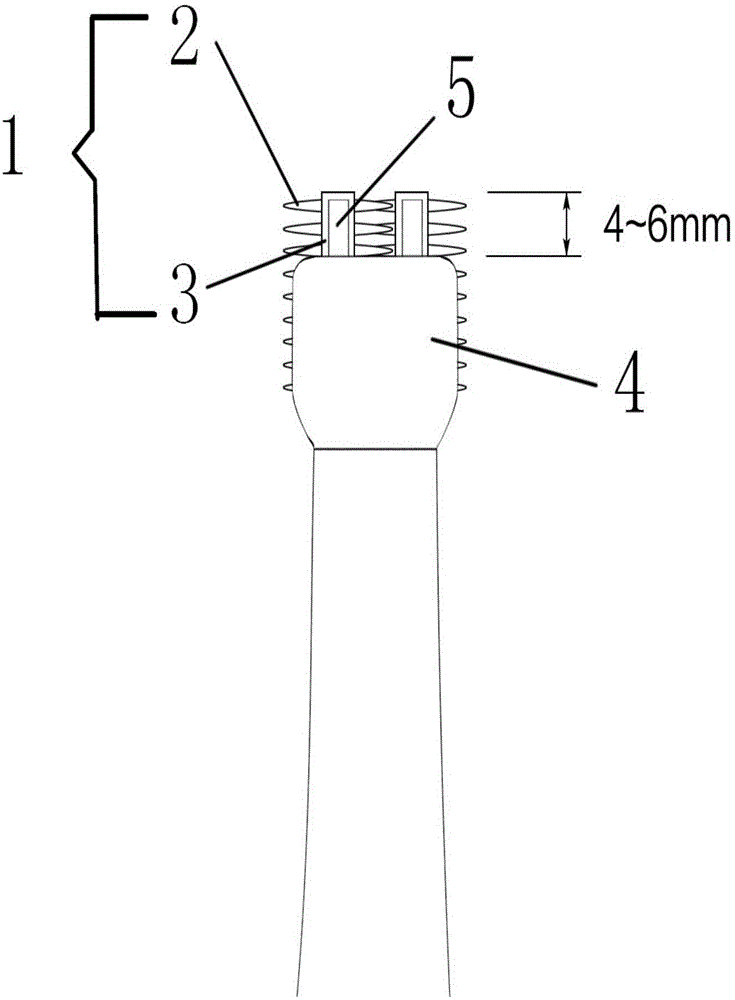 Backflushing plate of multifunctional oral caring tool