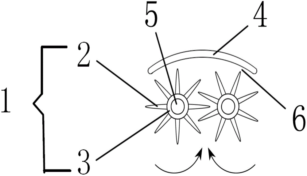 Backflushing plate of multifunctional oral caring tool