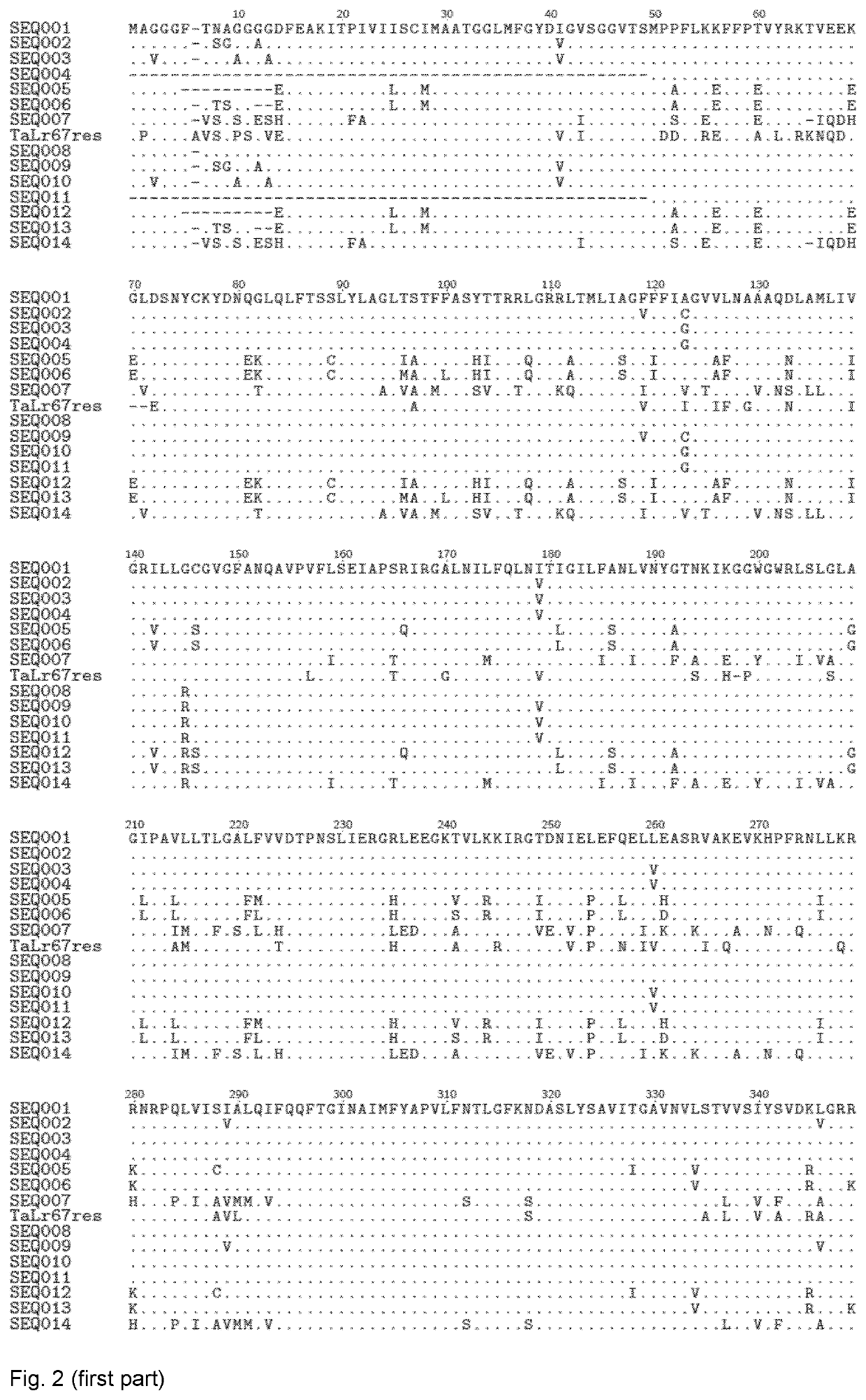 Method of increasing resistance against soybean rust in transgenic plants by expression of a sugar transporter