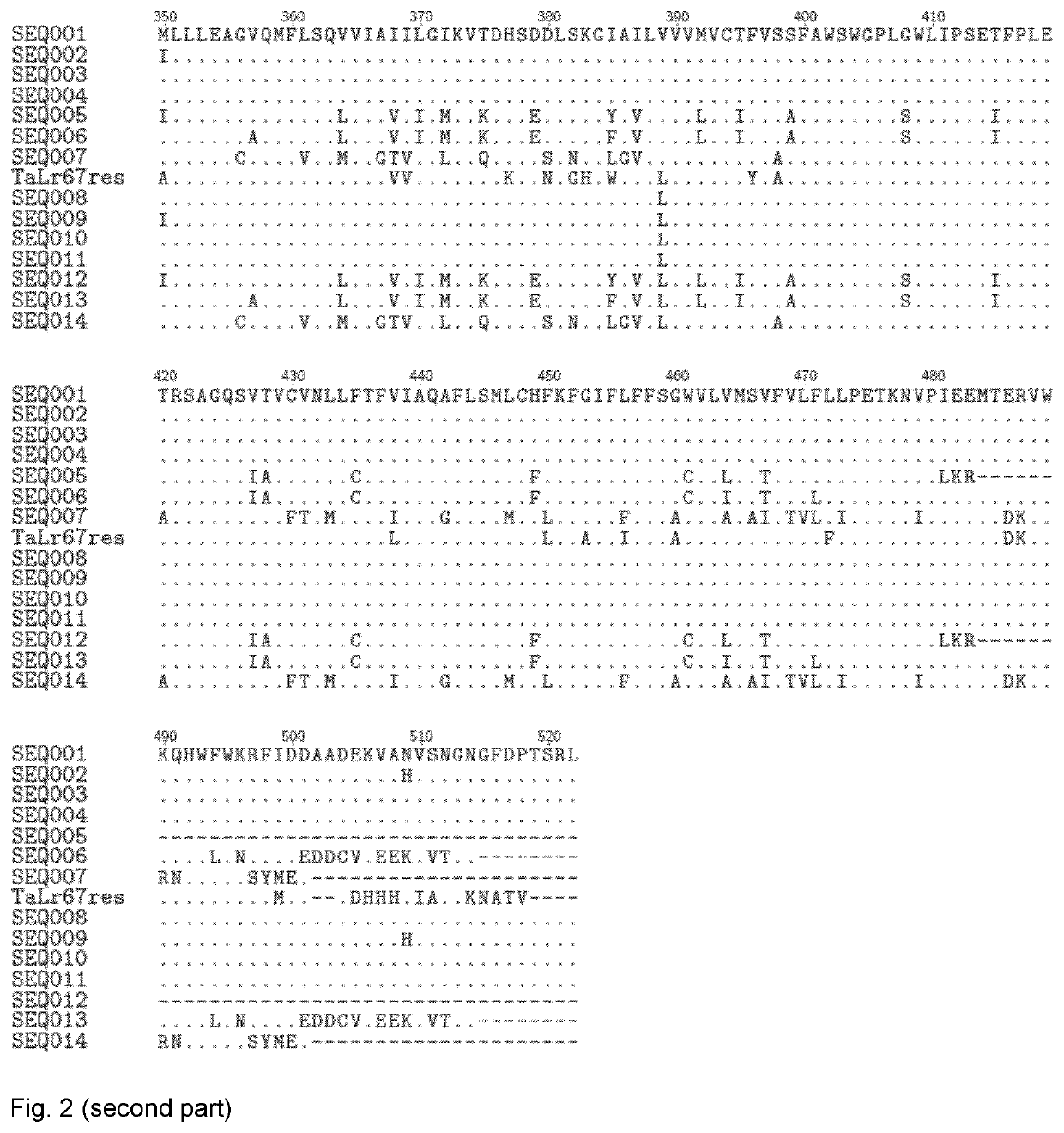 Method of increasing resistance against soybean rust in transgenic plants by expression of a sugar transporter