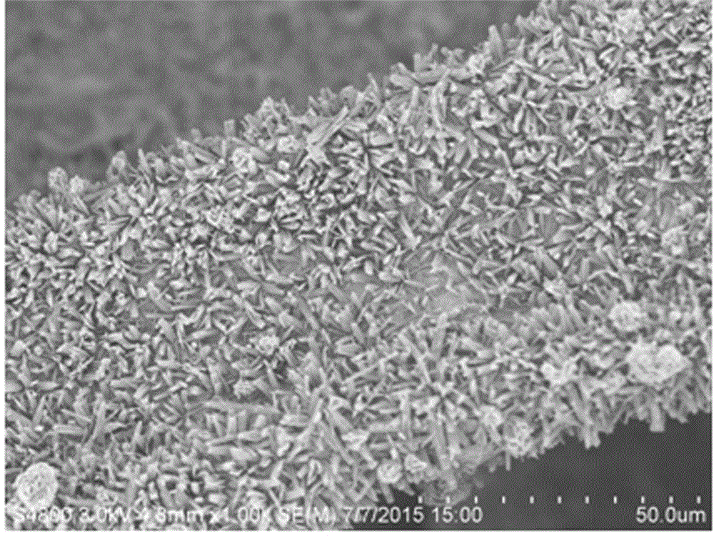 Preparation method of nickel cobaltite porous micron belt/foamed nickel composite electrode material