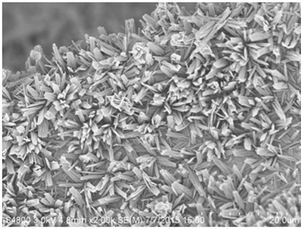 Preparation method of nickel cobaltite porous micron belt/foamed nickel composite electrode material