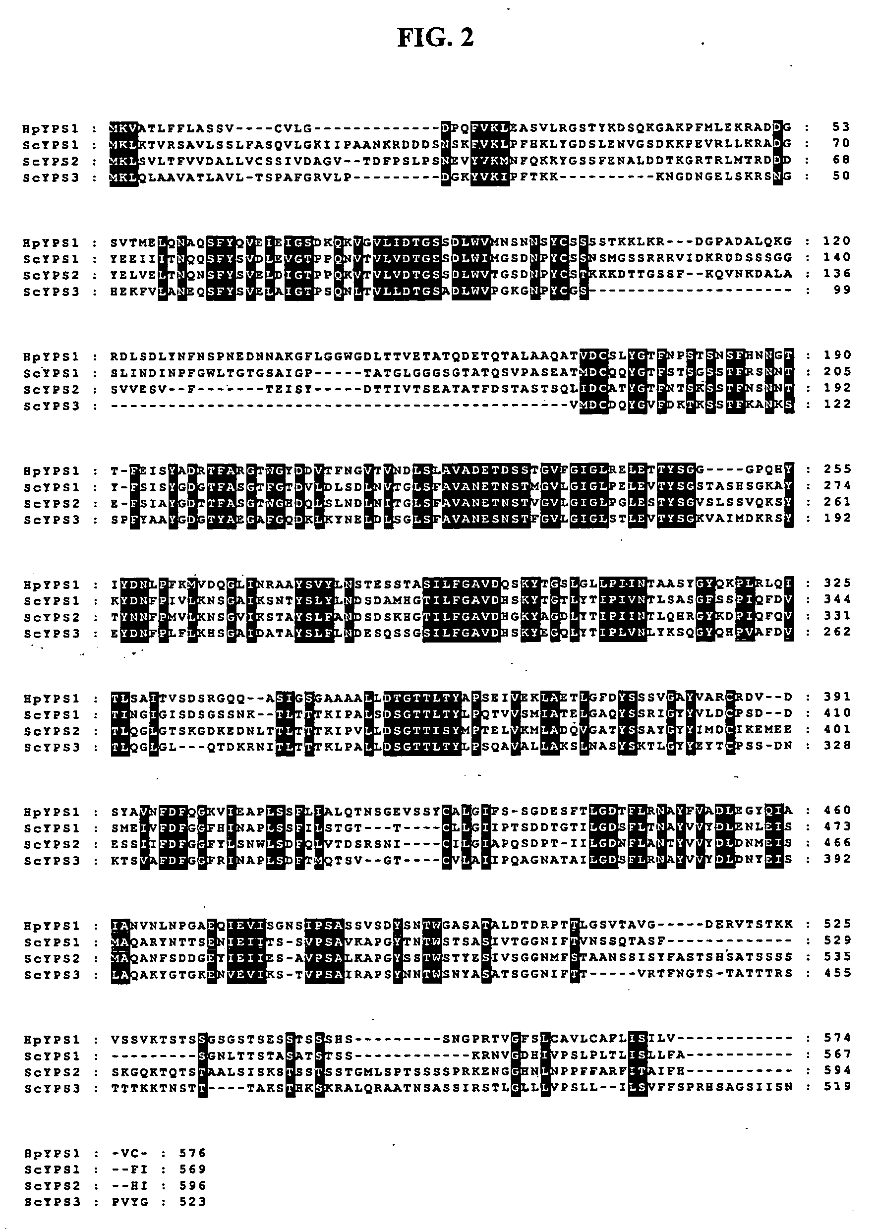 Hansenula polymorpha yapsin deficient mutant strain and process for the preparation of recombinant proteins using the same