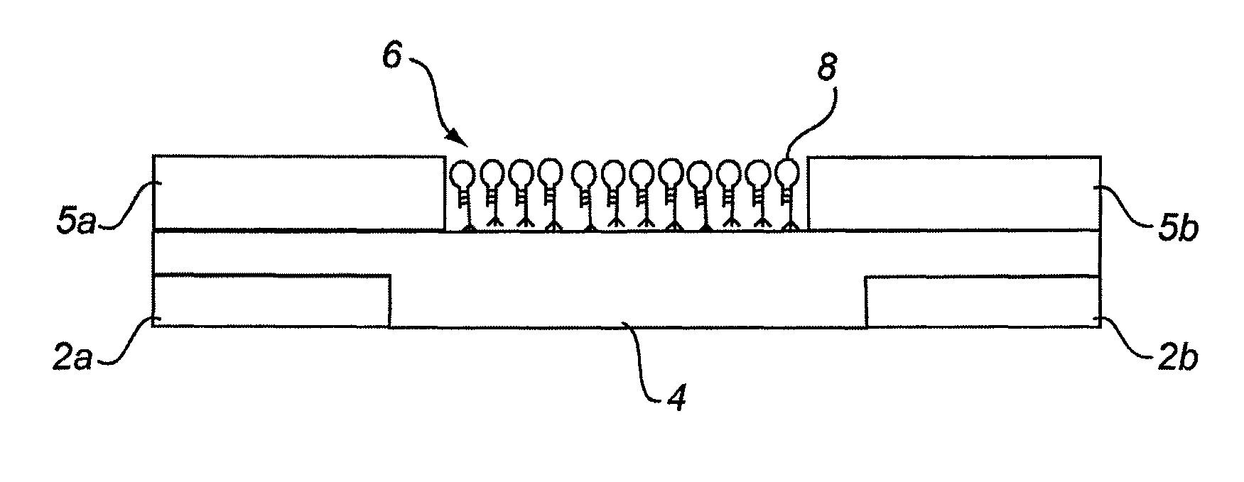 Nano-scale biosensors