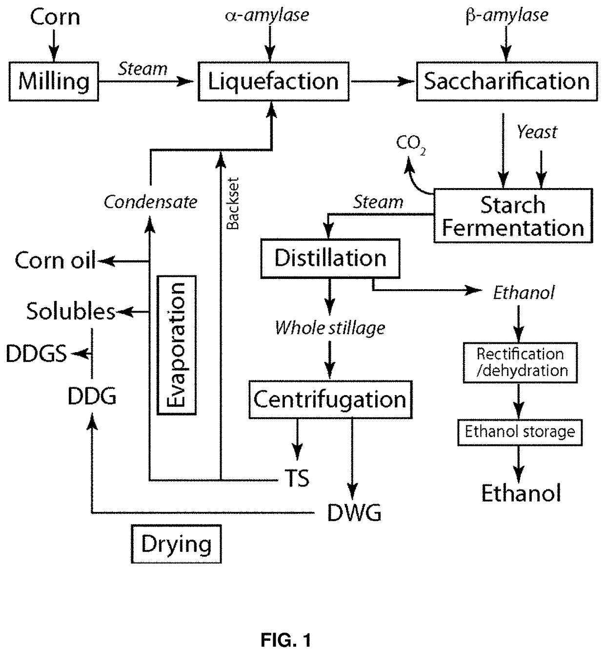 Compositions and methods for producing lipids and other biomaterials from grain ethanol stillage and stillage derivatives