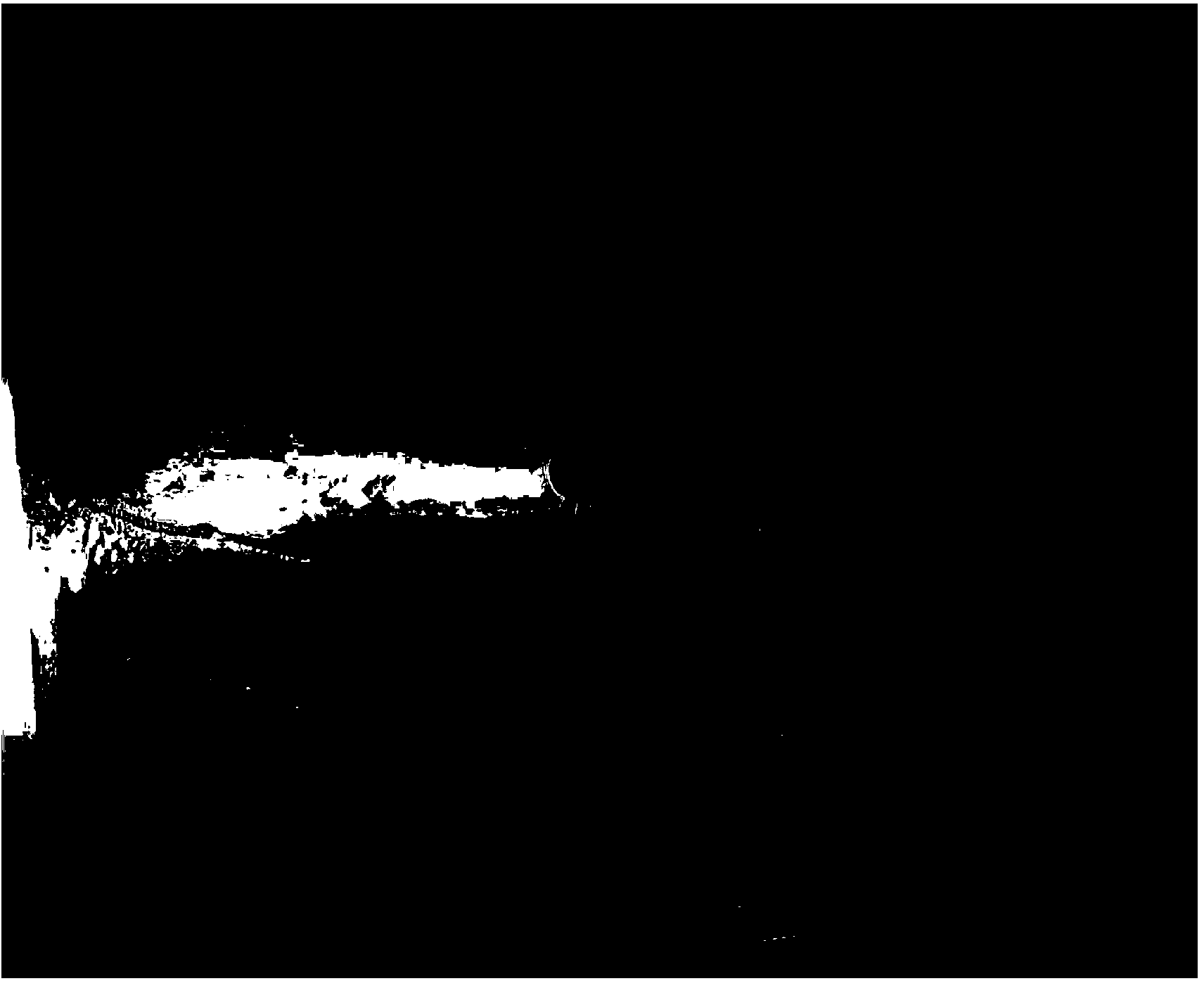 Method for culturing in vitro tissue of populuseuphratica